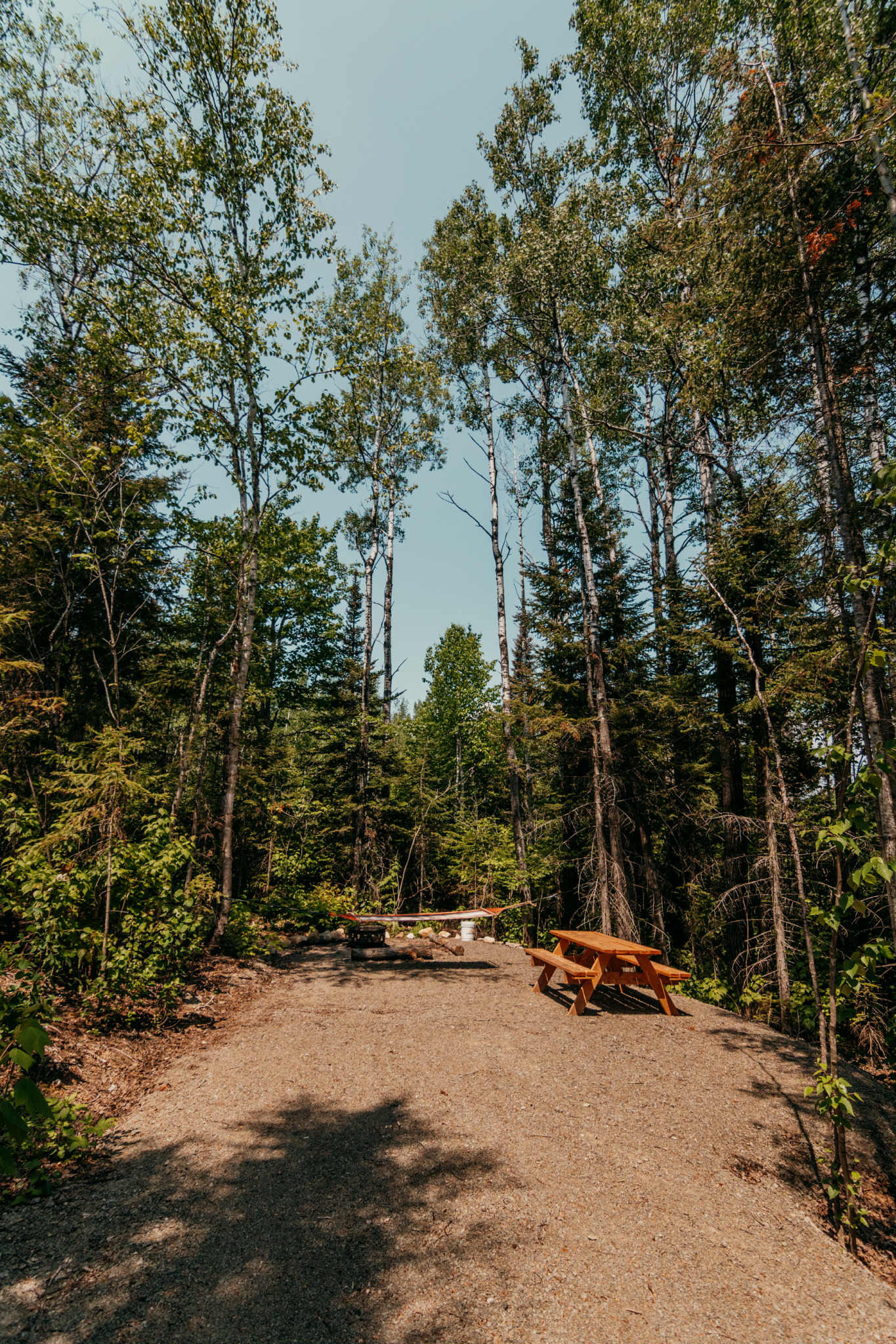 Camping vanlife