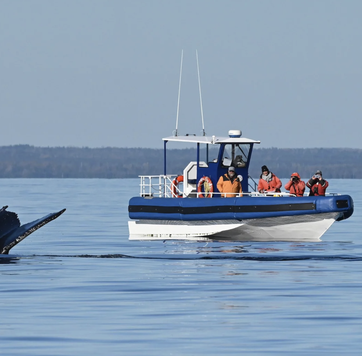 Capture d’e?cran, le 2025-12-17 a? 10.21.56