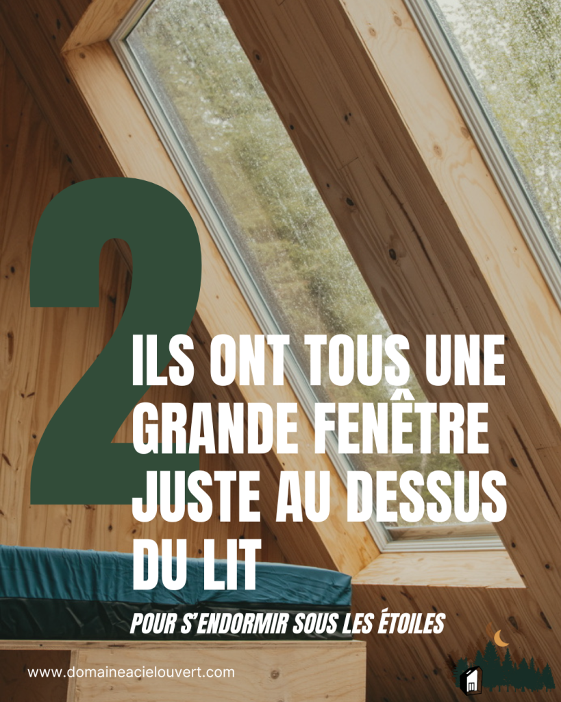 blogue insolite
